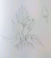 Fox Flower